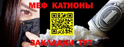 мяу мяу мука Будённовск