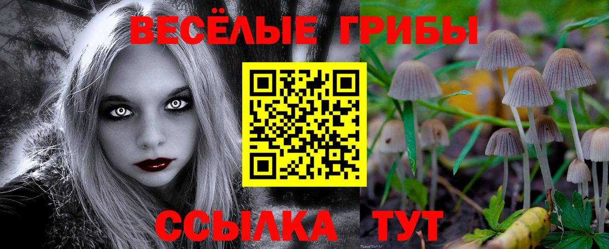 Псилоцибиновые грибы GOLDEN TEACHER  Вход с VPN  Ревда  Псилоцибиновые грибы ЛСД 