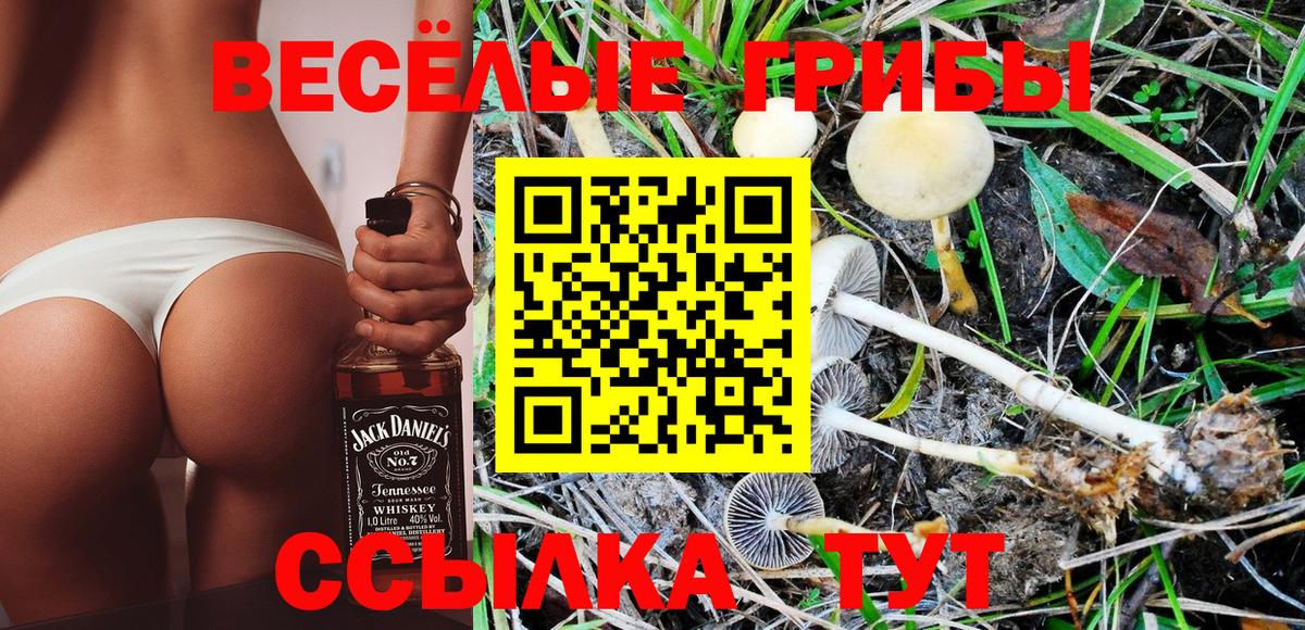 Псилоцибиновые грибы прущие грибы Ревда